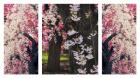 Cherry Blossom Triptych