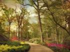 The Azalea Garden