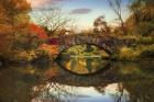 Foliage at Gapstow Bridge