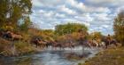 Fall Pasture Roundup