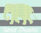 Elephant Sweet Dreams
