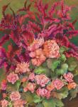 Coleus and Begonias