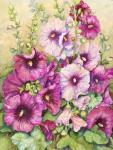 Hollyhocks In Evening Glow