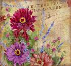 Letters from the Garden I