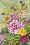 Veriegated Zinnias