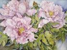 Peonies