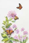 Milkweed and Monarch Butterflies