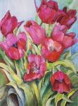 Red Tulips