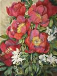 Red Peonies