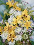 Wild Flowers And Daylilies