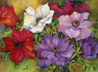 Anemones