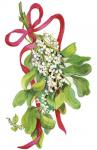 Mistletoe With Red Ribbon
