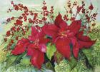 Red Poinsettia