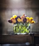 Cut Tulips On Edge Of Table