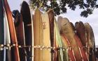 Long Boards Waikiki