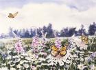 Wild Flowers & Butterflies