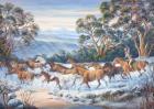 The Man From Snowy River