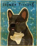 French French Bulldog - Black Brindle and White