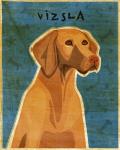 Vizsla