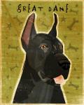 Great Dane 3