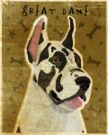 Harlequin Great Dane 1