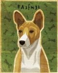 Basenji - Red