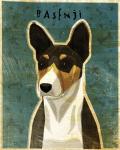 Basenji - Tri-Color