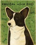 Cardigan Welsh Corgi