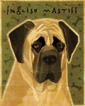 English Mastiff