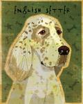 English Setter