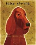 Irish Setter