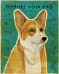 Pembroke Welsh Corgi