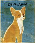 Chihuahua (red)