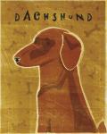 Dachshund (red)