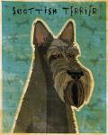 Scottish Terrier