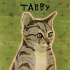 Tabby (grey)