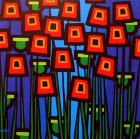 Night Poppies