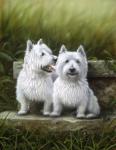 Pair of Westies