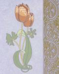 Rose Tulip With Right Border
