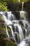 Smoky Mountains Waterfall