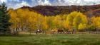 Colorado Farm