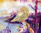 Owl Prince of Tofino