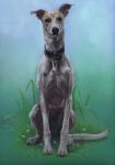 Lurcher Jaeger