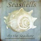 Seashells by the Seashore I