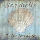 Seashells by the Seashore II