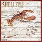 Shellfish II