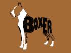 Boxer Word 2