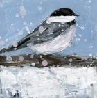 Chickadee Bird 1