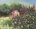 Sunlight on Hollyhocks