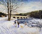 Pakenham Bridge Winter